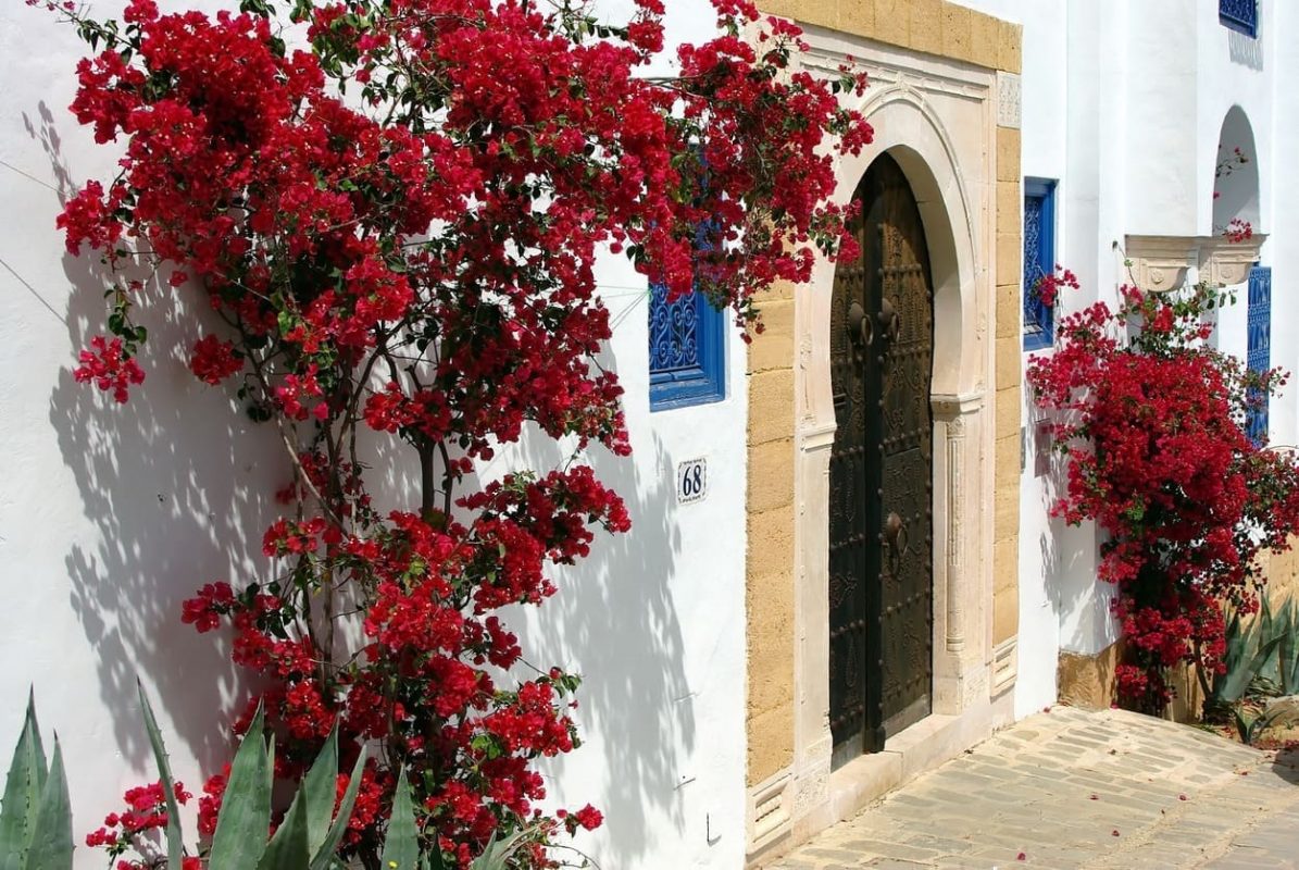 alt="Sidi Bou Said"