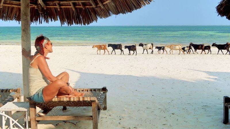 alt="Spiaggia di Mayungu, sulla costa del Kenya"