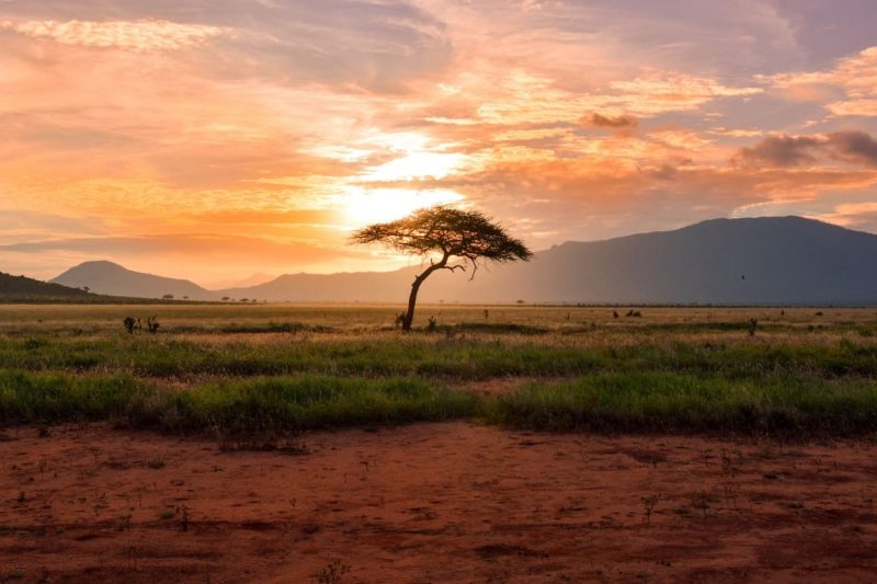 alt="Tramonto in Kenya - Photo Credits @Damian Patkowski"