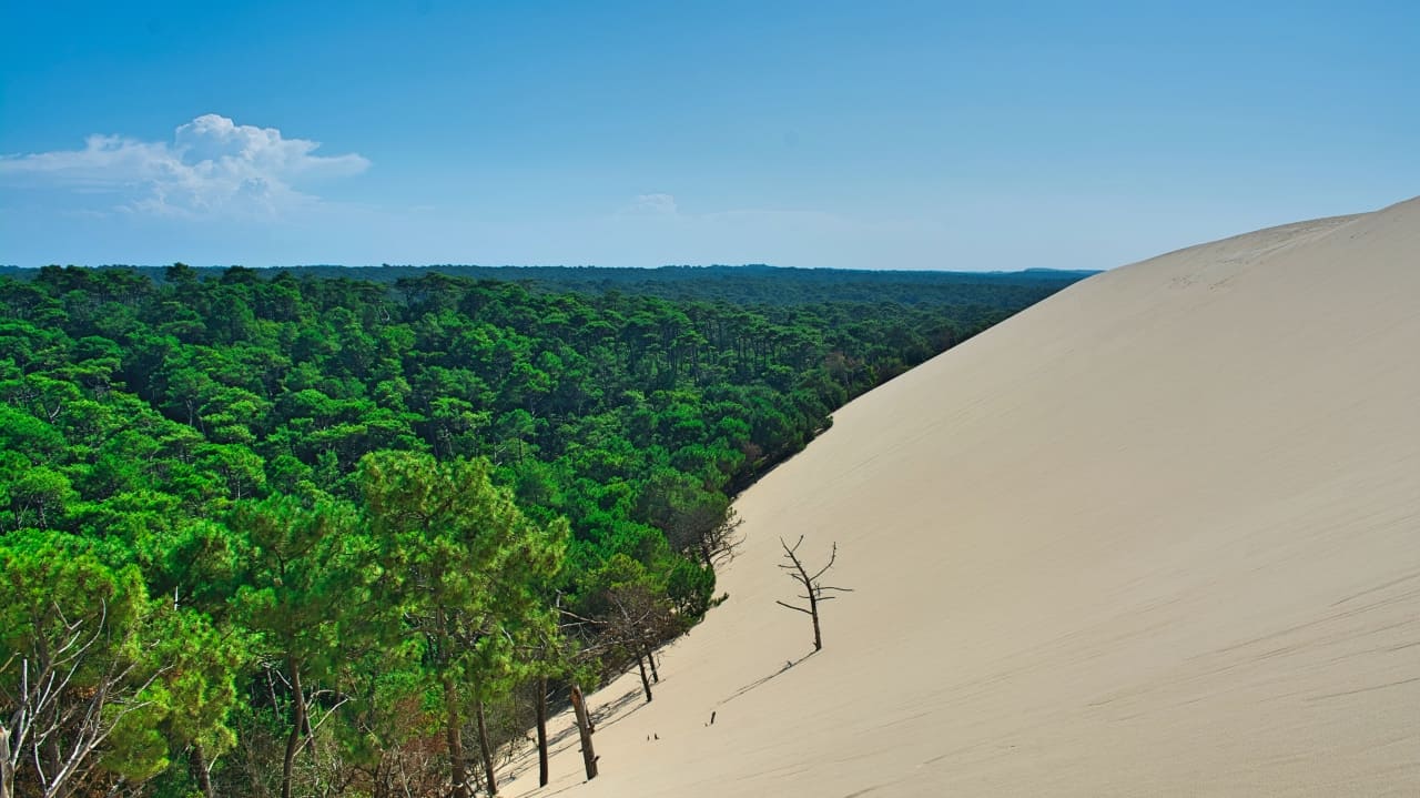 Dune de Pilat