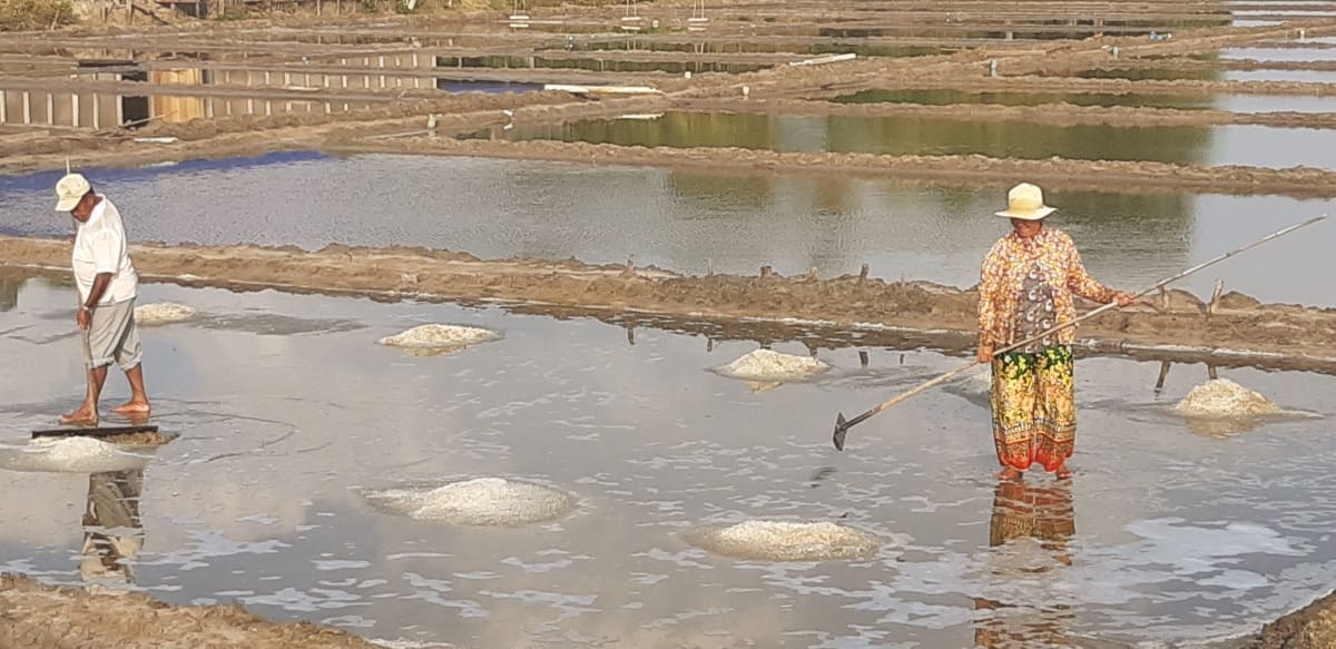 Saline vicino a Kampot