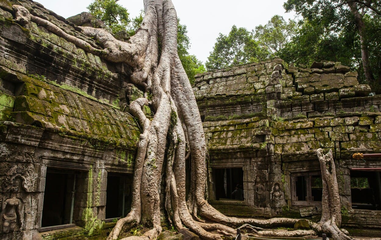 Curiosità sulla Cambogia
