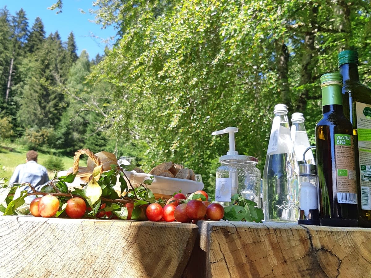 Turismo esperienziale in val Brenta con Di prato in pranzo