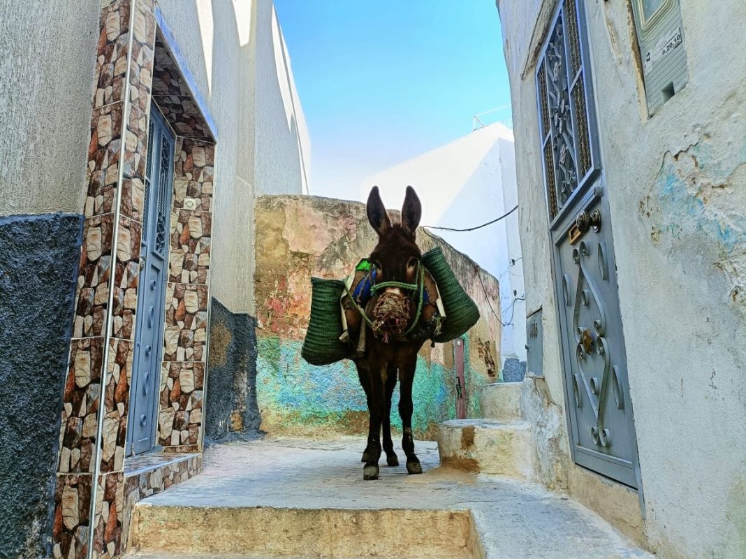 Moulay Idriss