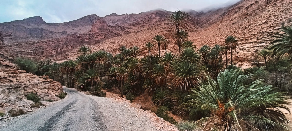 Marocco fai da te: on the road