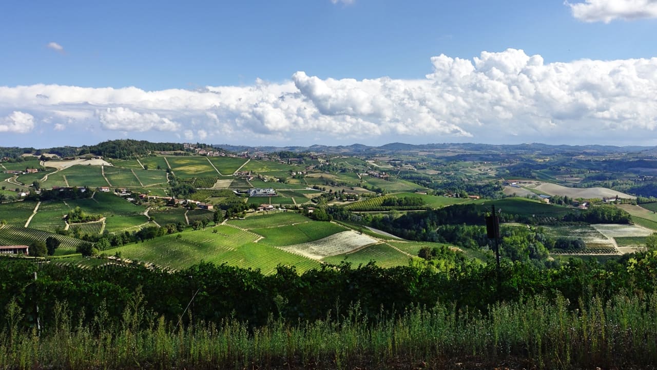paesaggio langhe