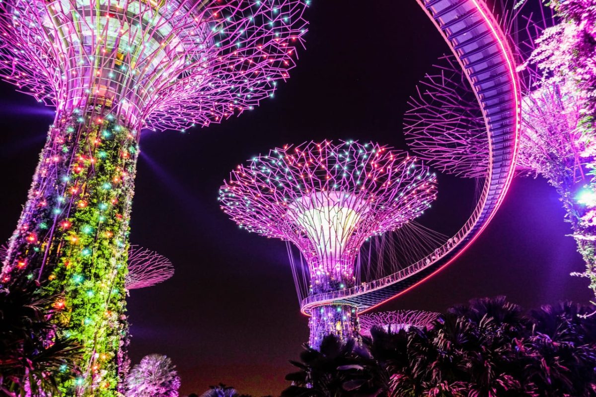Supertrees a Singapore