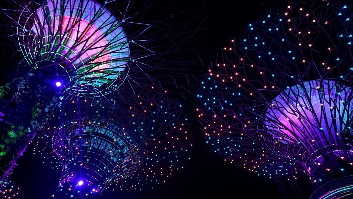 Garden Rhapsody dei Supertree Grove a Singapore